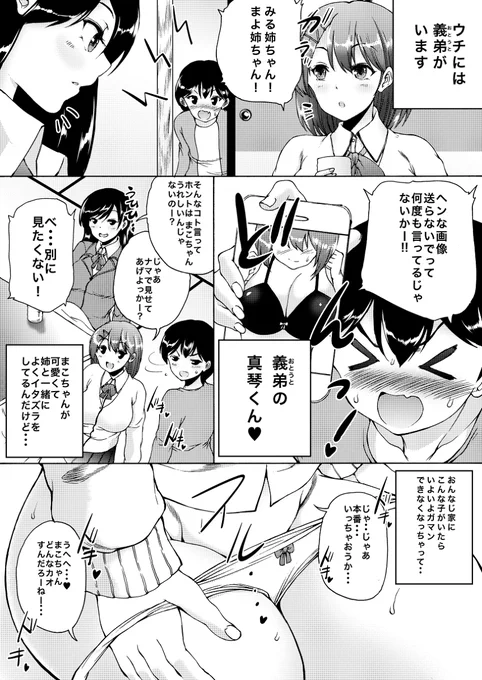 とある姉妹と義弟(おとうと)のはなし 