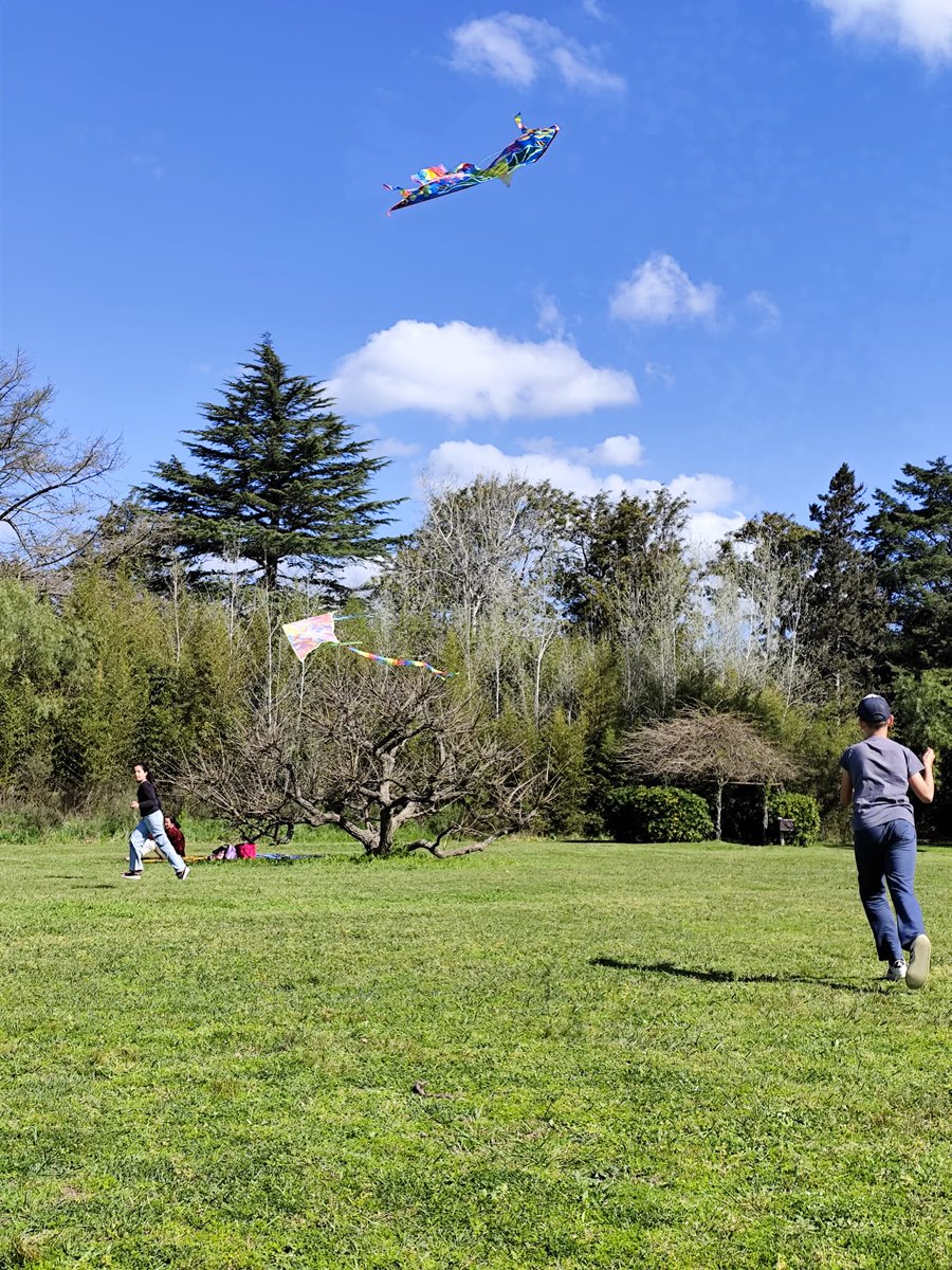 ☀️Tarde primavera en Quinta Capurro
Así se está viviendo esta tarde de vacaciones de primavera en el Jardín Histórico Quinta Capurro, donde sigue el show de las glicinas.
#CanelonesAvanzaConTurismo
#VacacionesdePrimavera #Primavera #QuintaCapurro #SantaLucía