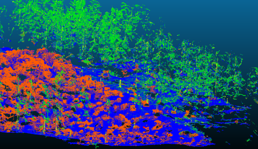icc_uba_conicet's tweet image. Pablo De Cristóforis and Francisco Raverta: "Mapping Semantic Segmentation to Point Clouds Using Structure from Motion for Forest Analysis”. IEEE International Conference on Robotics and Automation (ICRA 2025), Atlanta, USA. More: bit.ly/4gFwVpn