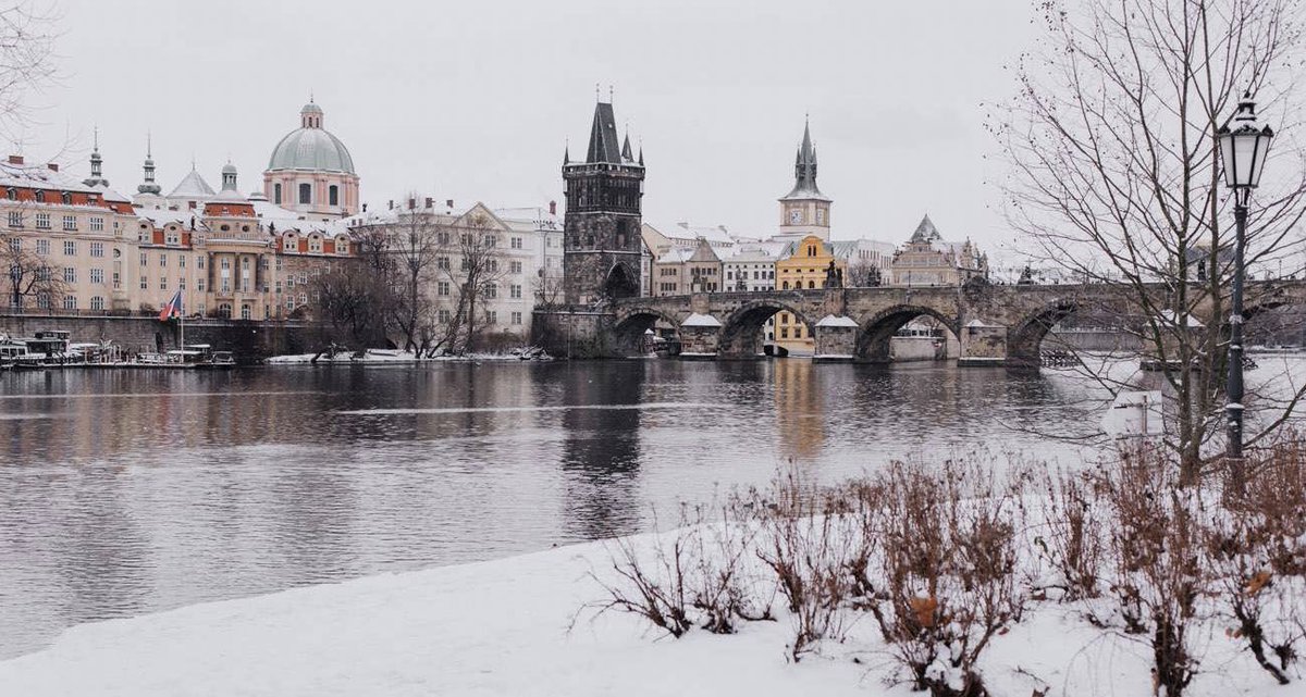 محمد القعود tweet media