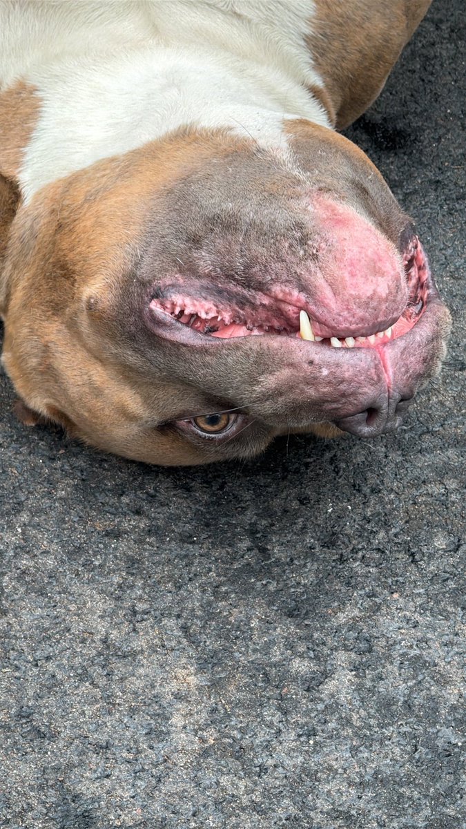 orizzinality's tweet image. Teefy’s.