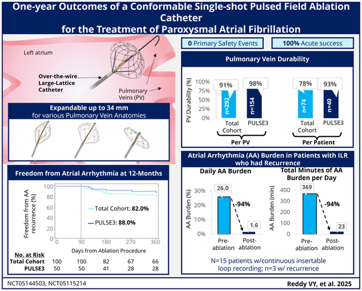 hrs_journal's tweet image. One-year Outcomes of a Conformable Single-shot Pulsed Field Ablation Catheter for the Treatment of Paroxysmal Atrial Fibrillation #OpenAccess
heartrhythmjournal.com/article/S1547-…