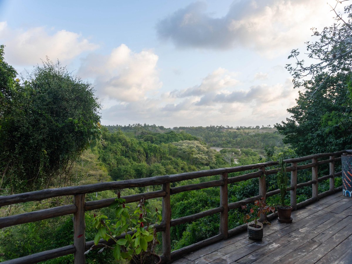 Spicey-O tweet media