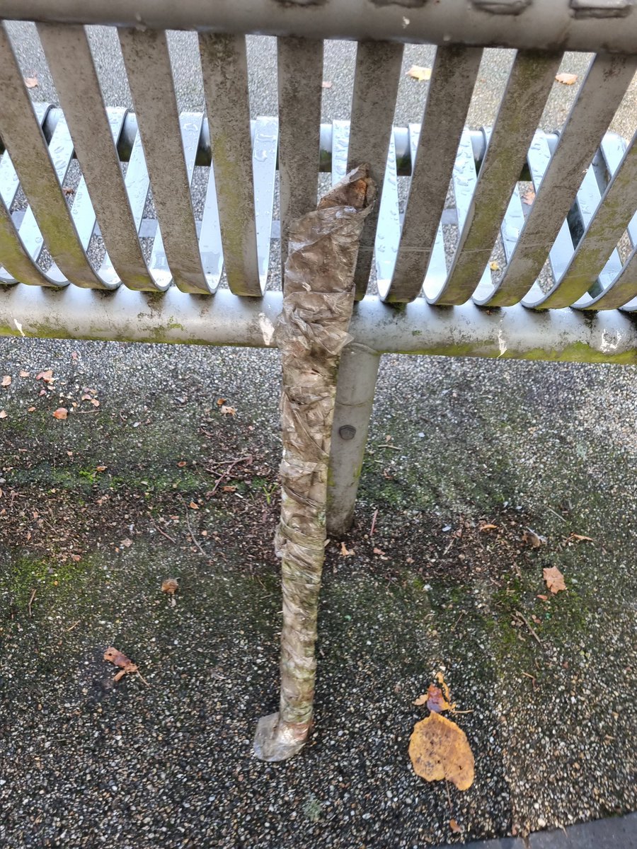 Litterwatch1's tweet image. A volunteer made a worrying discovery during a litter pick in #WestBromwich—a #machete wrapped in tape and left hidden in the bushes. Thankfully, it was correctly disposed of. This is a powerful reminder of the dedication of our volunteers who help make our community safer