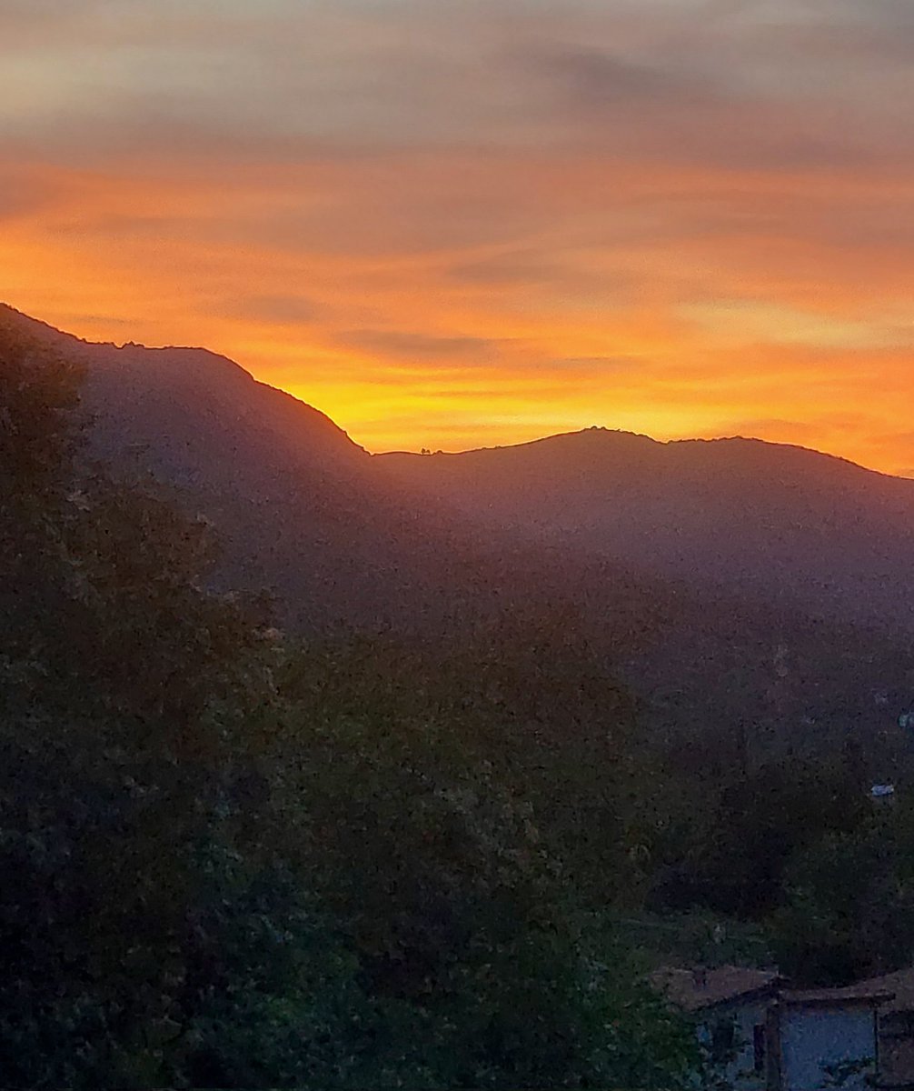 Maria Lea tweet media