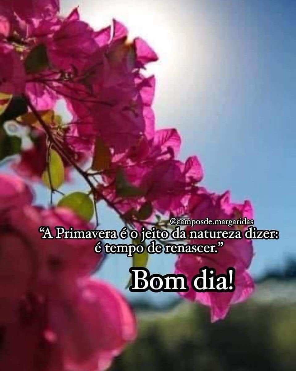 Eu geraldinha (@josefalimagomes) on Twitter photo 