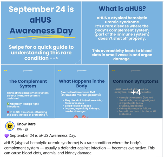aHUS24Sept's tweet photo. Via @know_rare on Facebook - thanks for your support for aHUS Awareness Day 2025!  #ahus24Sept  https://t.co/67vpdLhP63 #aHUS https://t.co/kSIS9mdbhr