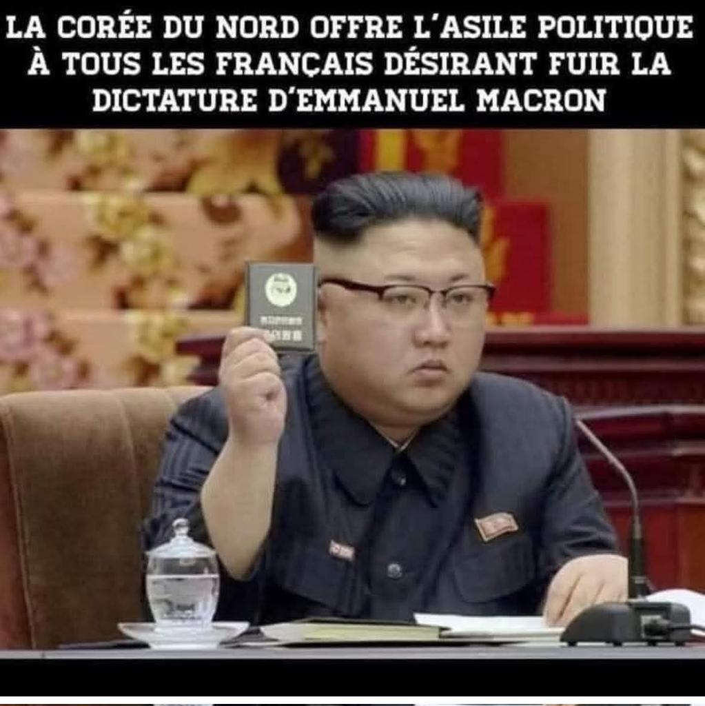 emily dumortier (@dumortieremily) on Twitter photo 