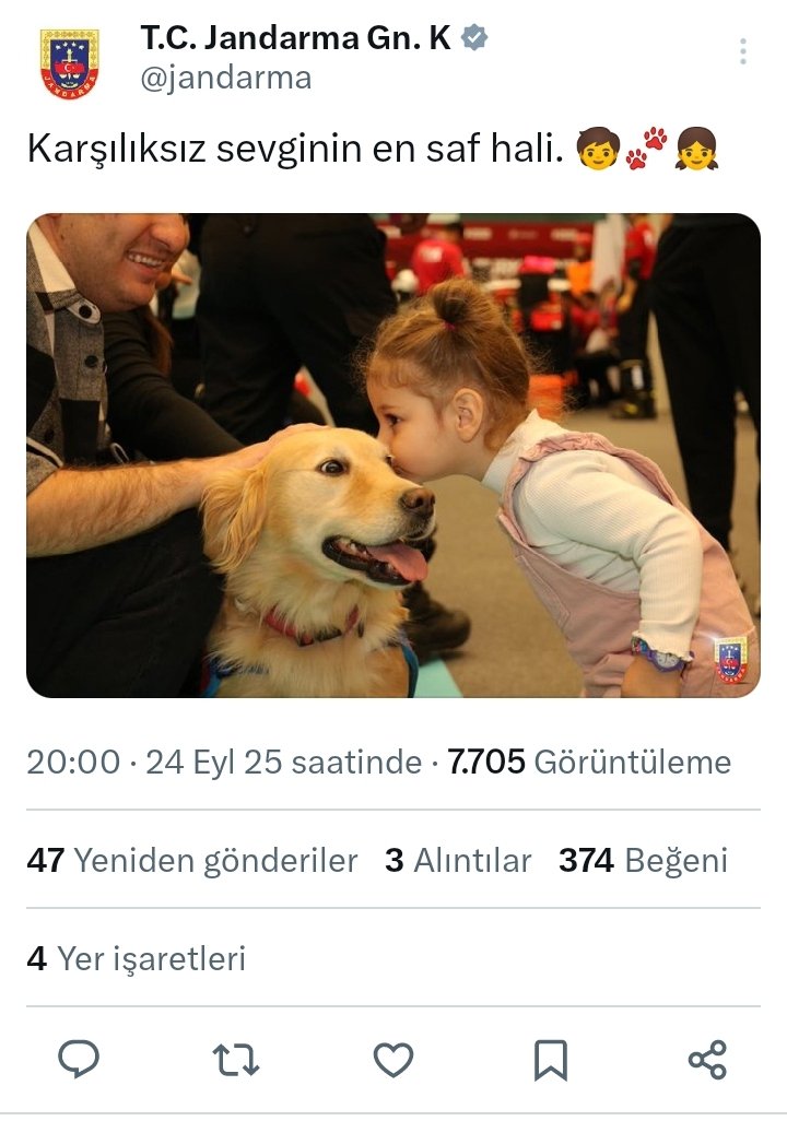 Sarachesarasara's tweet photo. Bir erkek cocugu ortada avcisi it ve yaninda kiz çocuğu.
Bilmiyorlar mi?
#MahraMelinPınar
#ranaelselci
#eslemteker
#ahmetdal
#TunahanYılmaz
#emirmete
#halithamo
Sayin Cumhurbaşkanımız @RTErdogan
Şikayetimiz var! https://t.co/iVZmSDADqZ