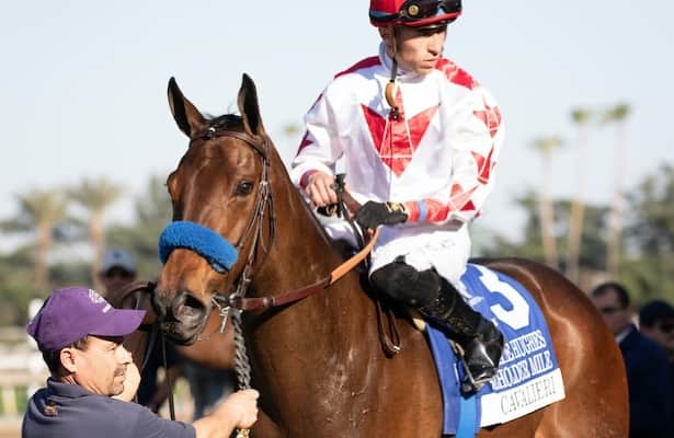 Undefeated Cavalieri returns in Sunday's Zenyatta Stakes, a <a href="/BreedersCup/">Breeders' Cup</a> Distaff qualifier <a href="/santaanitapark/">Santa Anita Park</a> 

horseracingnation.com/news/Santa_Ani…

📸: Lindsay Affleck / Eclipse Sportswire