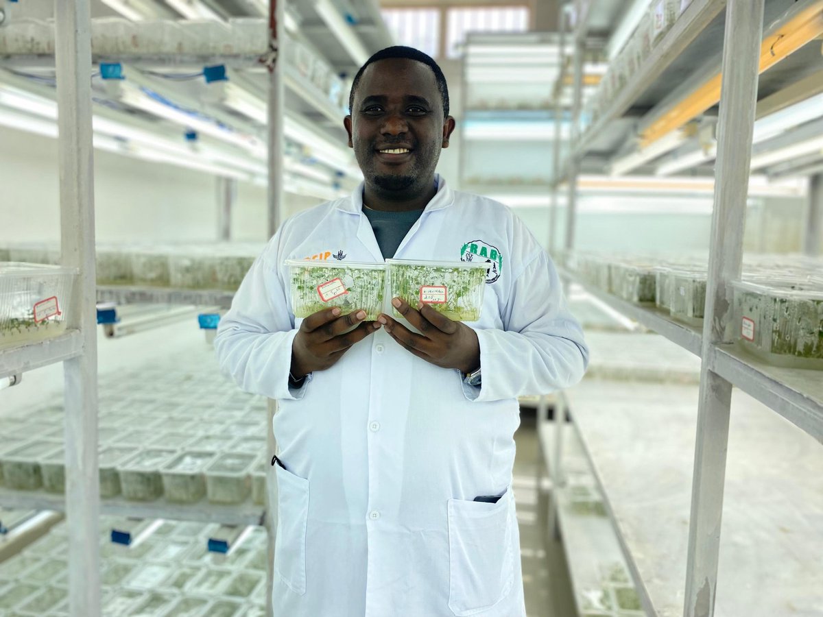 AlexisNyandwi12's tweet image. The global population continues to rise, yet the planet’s resources remain finite. This drives my commitment to advocate for agricultural #Science and #BiotechCrops. 

Together, we can shift mindsets and embrace innovation to build resilient, sustainable food systems for the…