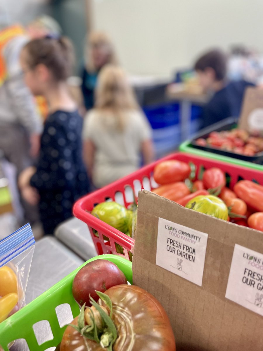 MrsWegert's tweet photo. Second grade students have already donated 258 pounds of organic produce to our @TownofLyons local food bank, LEAF. We have 2 big 🎃that might tip the scales soon! Students plant, care for, and harvest all for a great cause! @Lyons_ES @MayorRogin #STEM https://t.co/AHHr75SGey