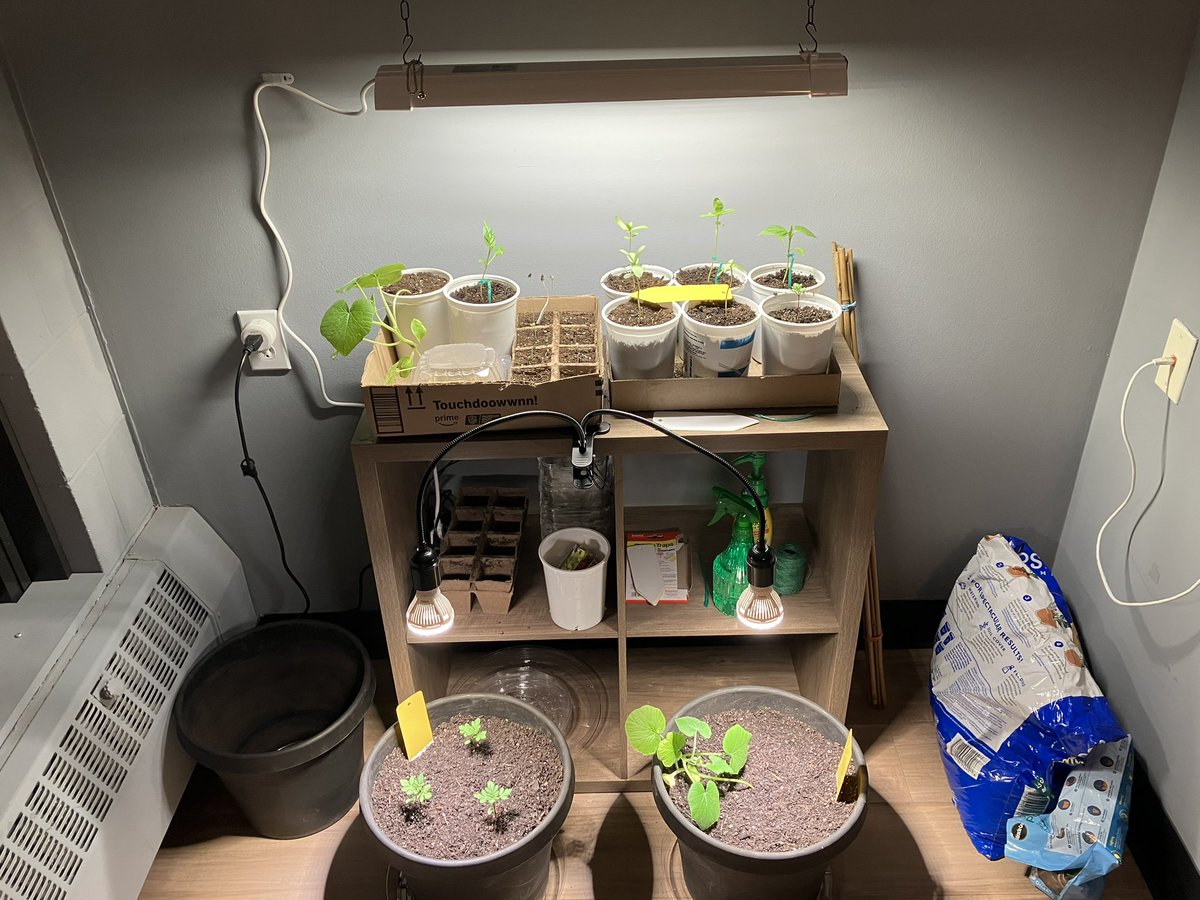 GeoBalloon tweet media