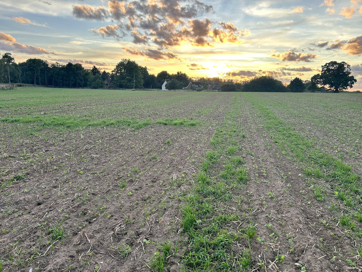 John Tusting tweet media