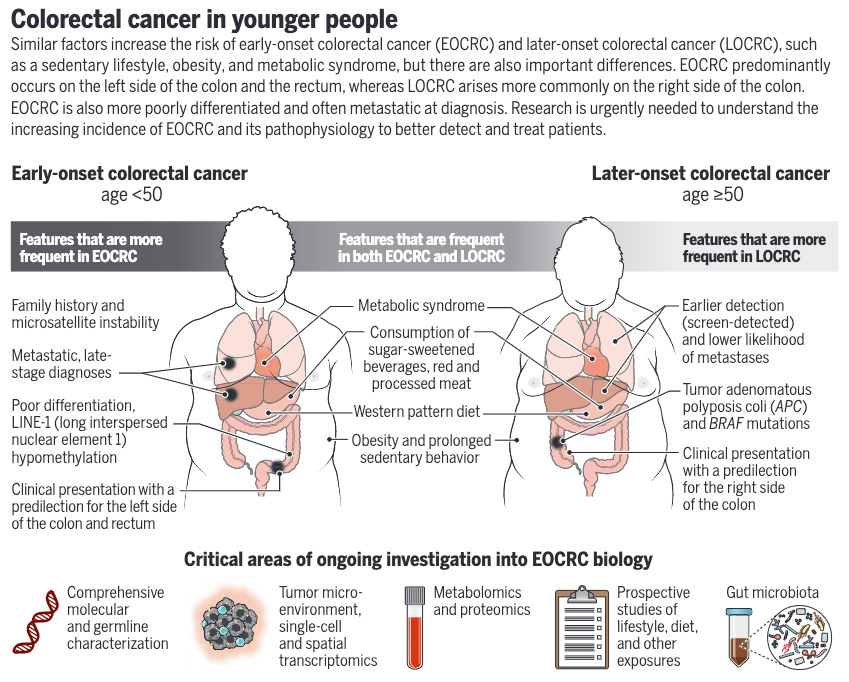 Early-onset colorectal cancer is expected to become the leading cause of #cancer death in ages 20 to 49 in the U.S. by 2030.

Research is urgently needed to better detect and treat patients, argues this #SciencePerspective: scim.ag/4i3RSdS #WorldCancerResearchDay