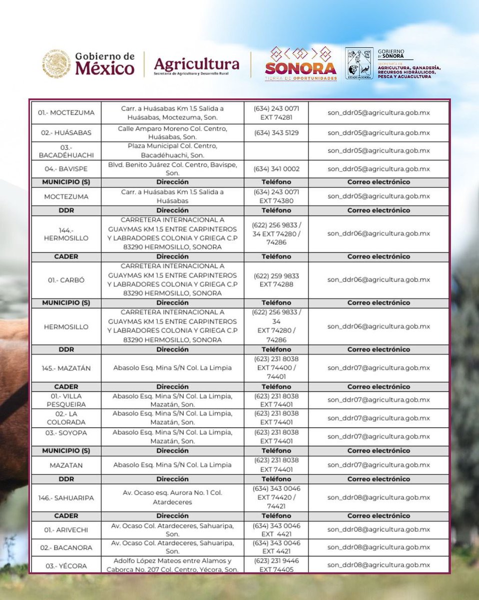 CelidaLopezc's tweet image. Atención, productor ganadero pequeño o mediano, te compartimos los datos de contacto para solicitar este apoyo. Desliza para ver los números y direcciones para más información. 🐂

Más información:
Sagarhpa (Ganaderia) 6622 89 52 70 - 6622 17 29 81
Ext. 113 José Amaya 
6623 37 71…