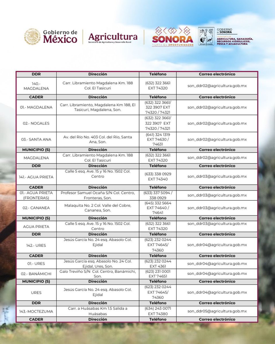 CelidaLopezc's tweet image. Atención, productor ganadero pequeño o mediano, te compartimos los datos de contacto para solicitar este apoyo. Desliza para ver los números y direcciones para más información. 🐂

Más información:
Sagarhpa (Ganaderia) 6622 89 52 70 - 6622 17 29 81
Ext. 113 José Amaya 
6623 37 71…