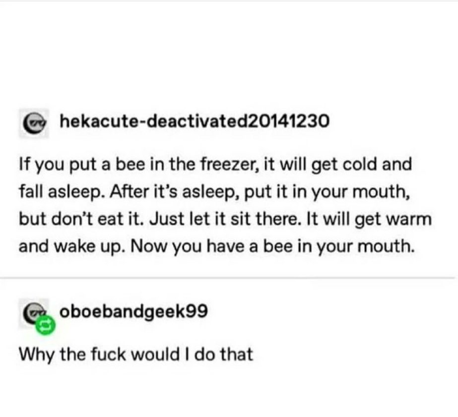 <a href="/kirawontmiss/">kira 👾</a>