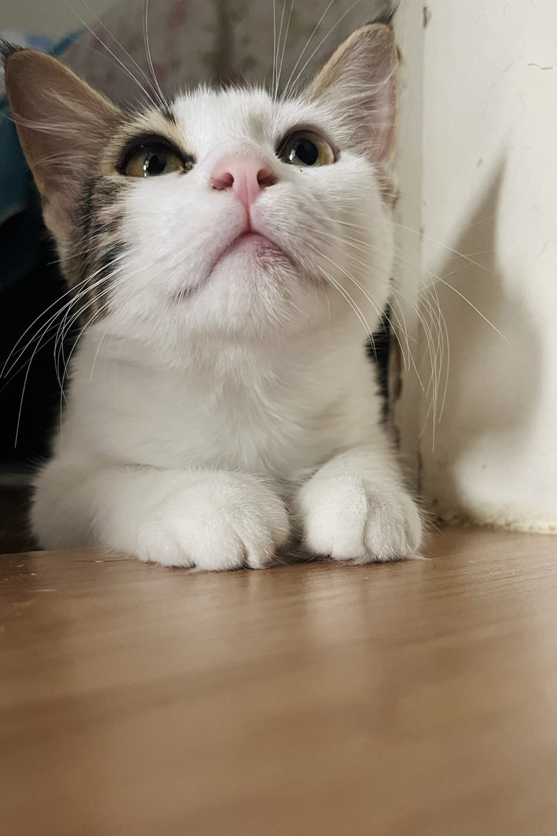 bana ve kardeşlerime yuva lütfen