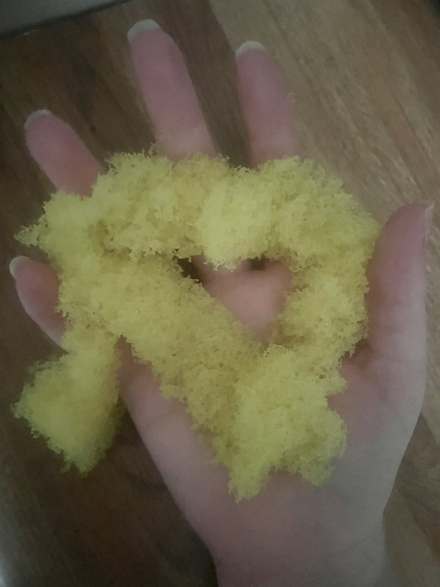 This Scrub Daddy is going to have to hang in there until I can afford another sponge. Until then, my $6 is going to rent for October first.

Ignore tiny hand.

I swear that little piece hanging off used to be a face…

(Do not open if you do not want to break immersion. 🧡🐾)