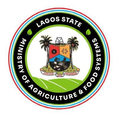The Lagos State Ministry of Agriculture and Food Systems has commenced the registration of farmers’ operating in Lagos State under the Produce for Lagos Programme. 

The Programme focuses on both boosting food production within Lagos and establishing strategic partnerships..