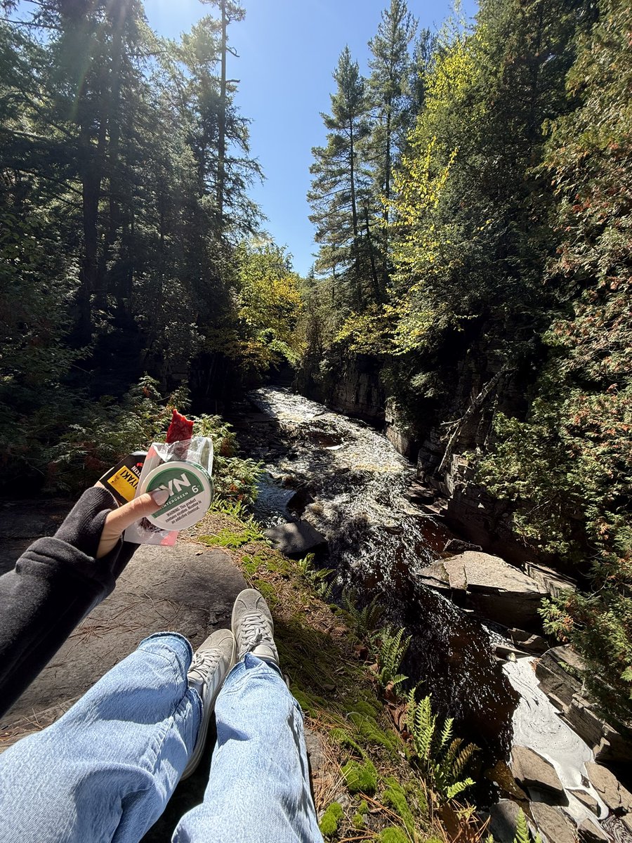 Genevieve “Jugs” Witherspoon tweet media