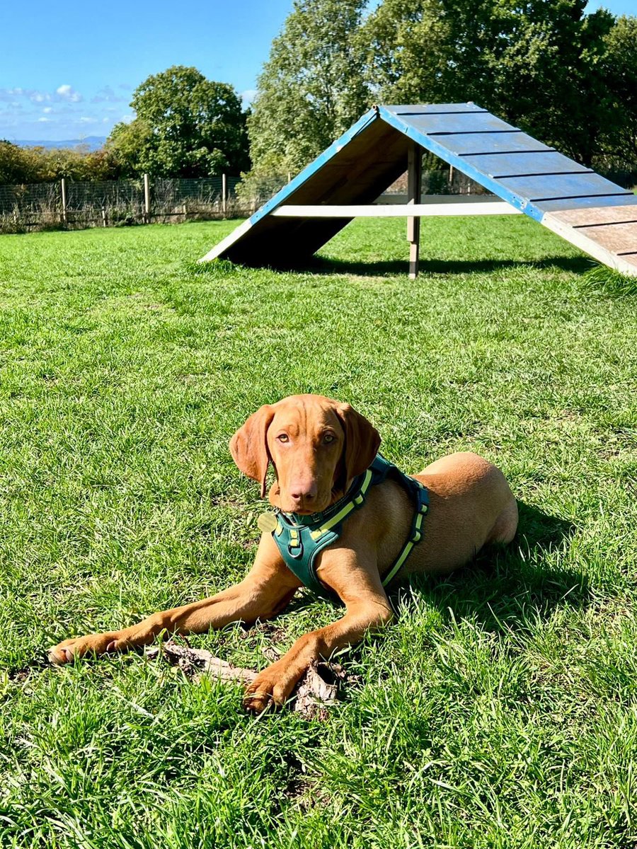 Anna Curnow tweet media