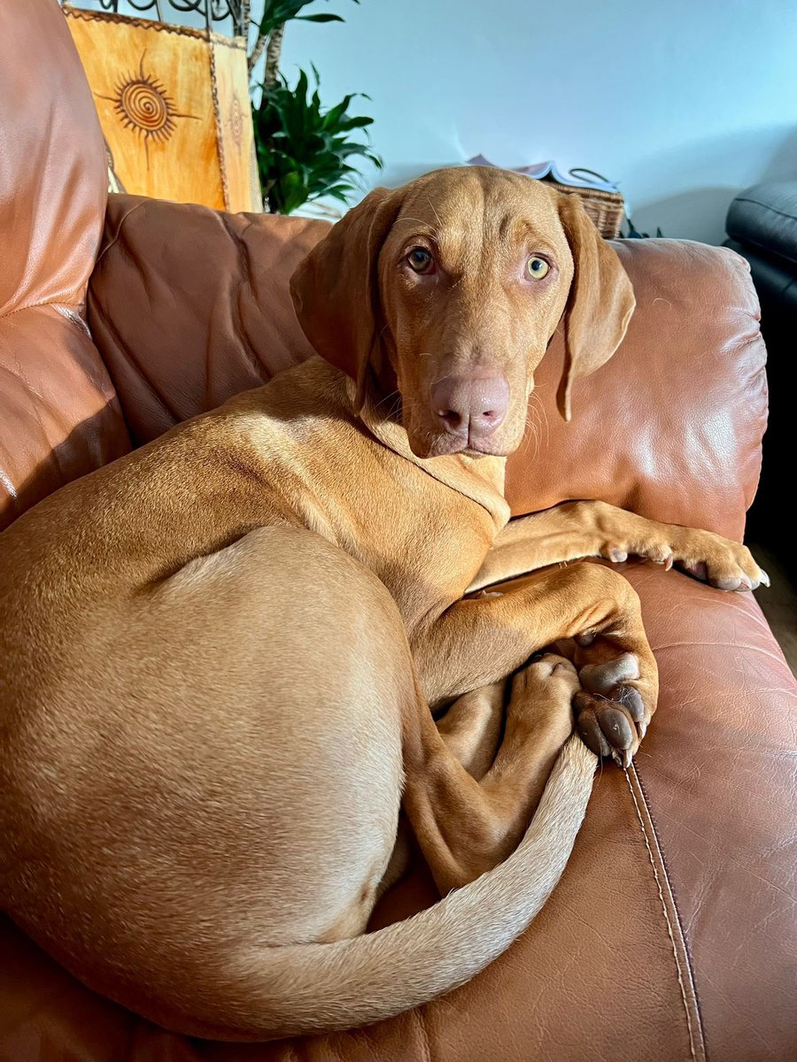 Anna Curnow tweet media