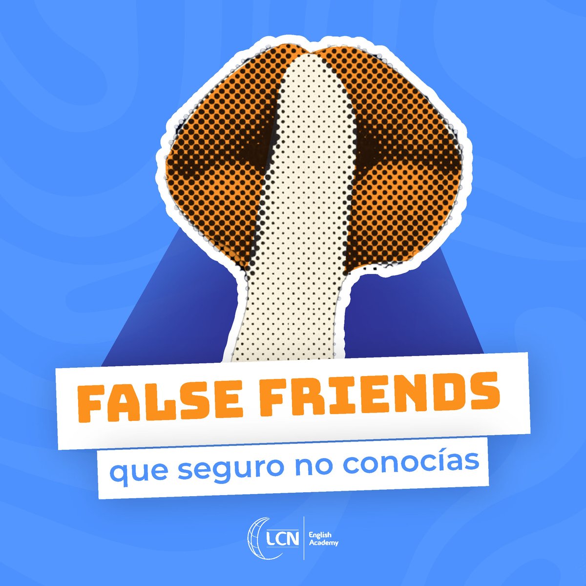 LCN Idiomas tweet media