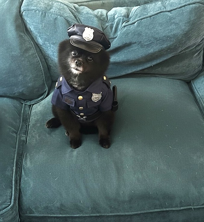 GraciesWorld3's tweet image. It&apos;s National Punctuation Day, and I am The Grammar Police.  Punctuation matters! For example, &quot;Let&apos;s eat Grandma.&quot;  This should be, &quot;Let&apos;s eat, Grandma.&quot;
#DogsofTwitter #TaterTotSquad #PunctuationMatters