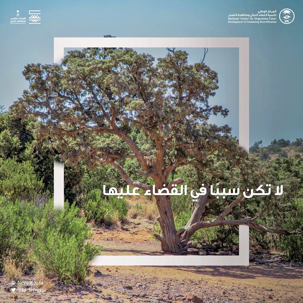 asalamAlsalman's tweet photo. #الإعلام_البيئي_ضرورة_لاترف

فهو يرفع من وعي المجتمع نحو بيئة صحية لنا وللأجيال القادمة ،، https://t.co/eVSPt6mObo