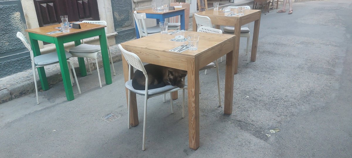 Se escondió para que no le pasen la cuenta. 🫣