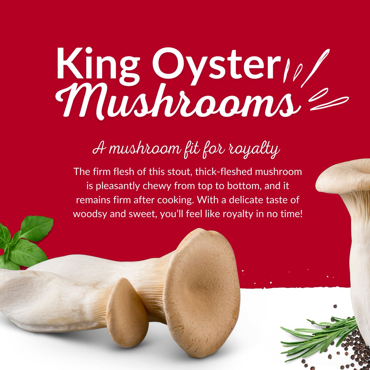 Mushrooms Canada tweet media