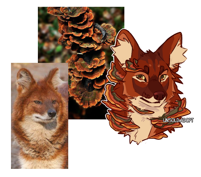 I know he looks a little grumpy but I swear he's a fun gi....