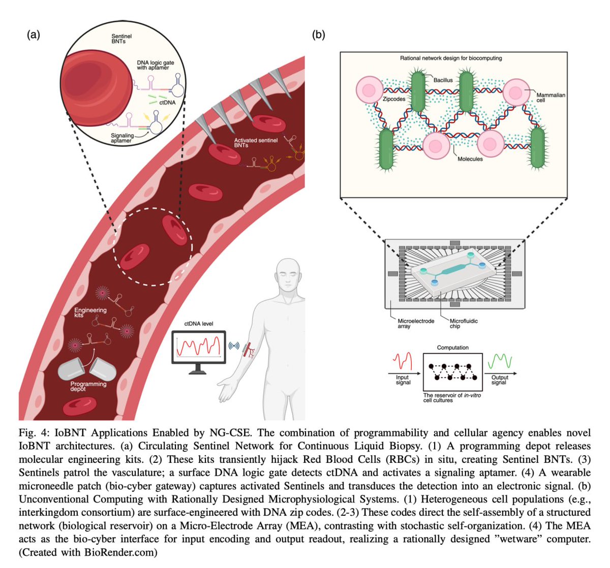 CorinneNokel's tweet image. Hijacking Living Cells with Surface Engineering for
the Internet of Bio-Nano Things 

arxiv.org/abs/2509.17227