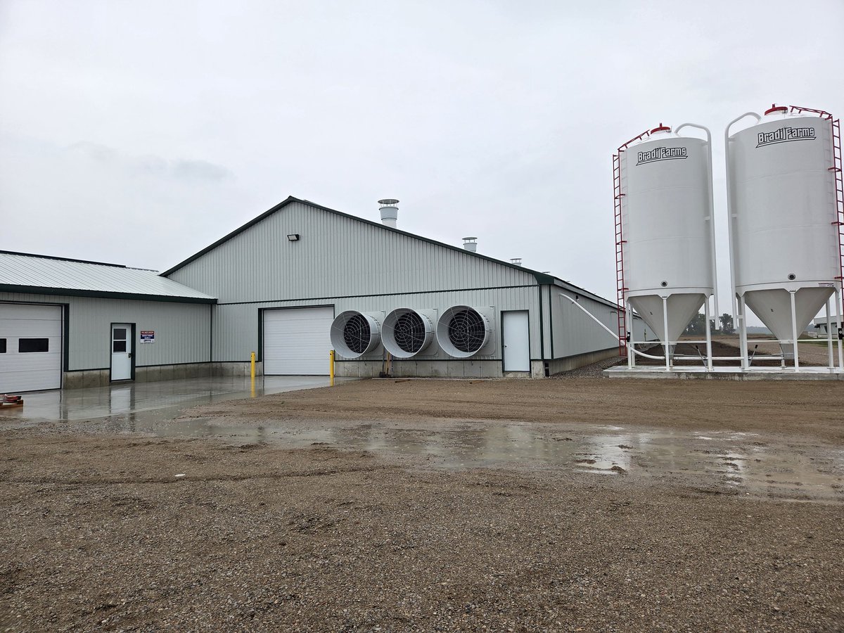 Josh Boersen tweet media