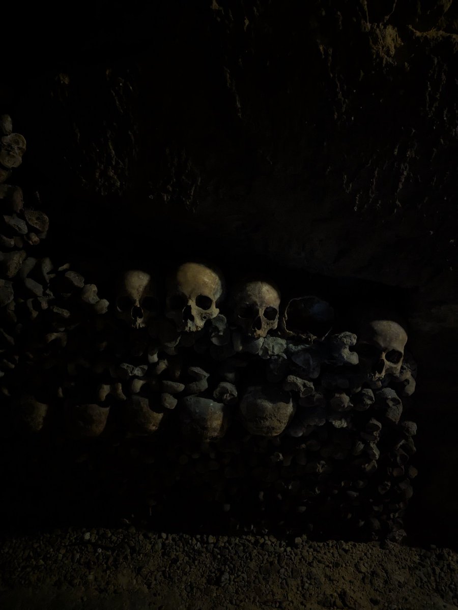 clara (@declaration_sg) on Twitter photo 