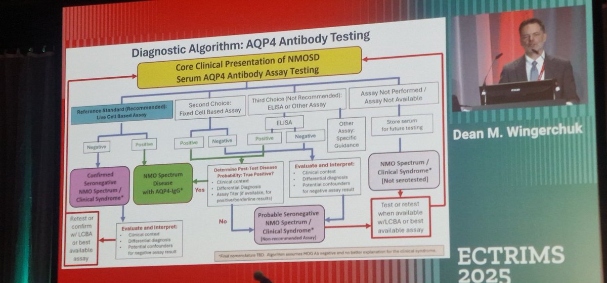 exmaissou's tweet image. Thrilled to witness the updated NMOSD criteria unveiled today by Dean M. Wingerchook 🙌 A big step forward for the field — exciting times ahead in neuroimmunology! #NMOSD #ECTRIMS2025 @ECTRIMS
