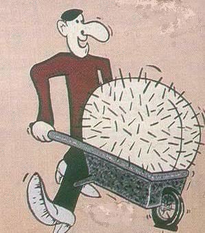 chunky_mufc's tweet image. This is Buster, who is currently on Day 354 of not having sex until United win 5 games on the trot. @ManUtd 🟥⬜️⬛️