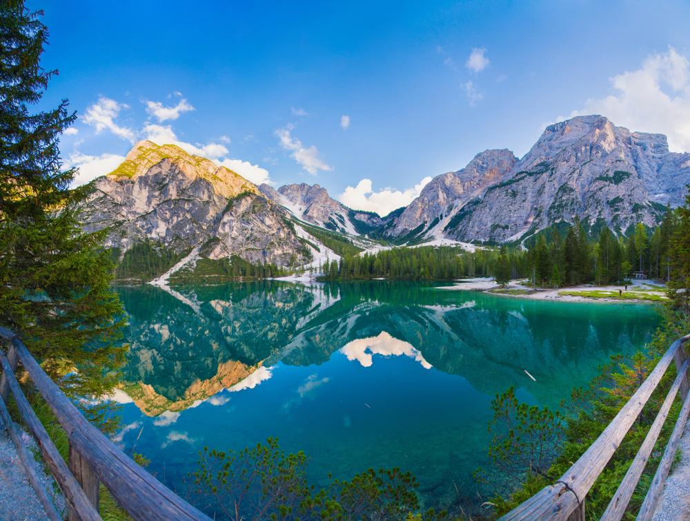 "Today is yesterday's pupil." Thomas Fuller

#WednesdayWisdom #ThomasFuller #quote #nature #growthmindset #mindset #HealthCoach