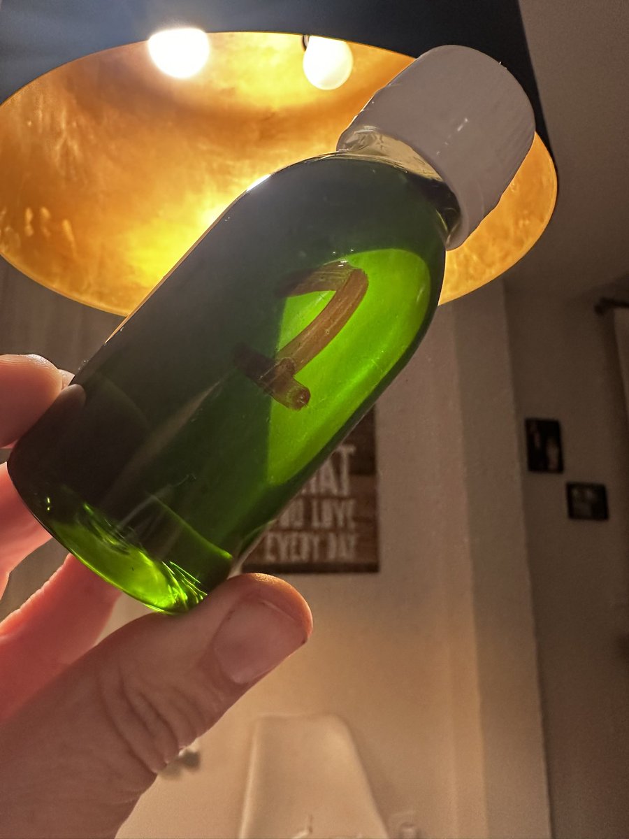 Esto, señores, es el primer aceite de la campaña 25/26