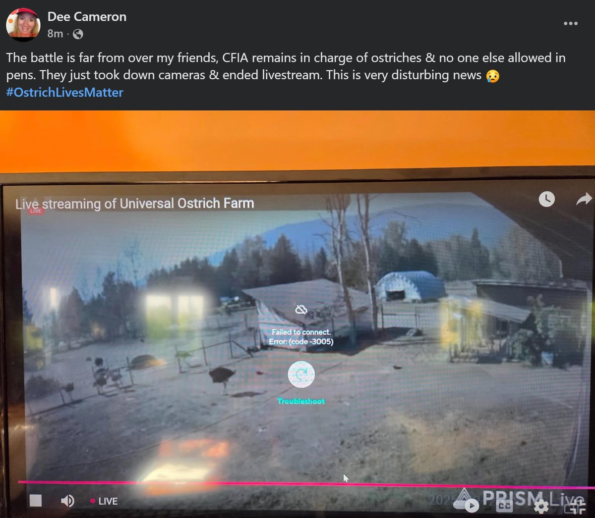 The Canadian Food Inspection Agency has taken over control of the Universal Ostrich Farm in BC.

They have cut the live feed cameras the owners of the property set up. HOW IS THAT LEGAL?

Nowhere in the Stay Order does it say they can tamper with monitoring devices on the