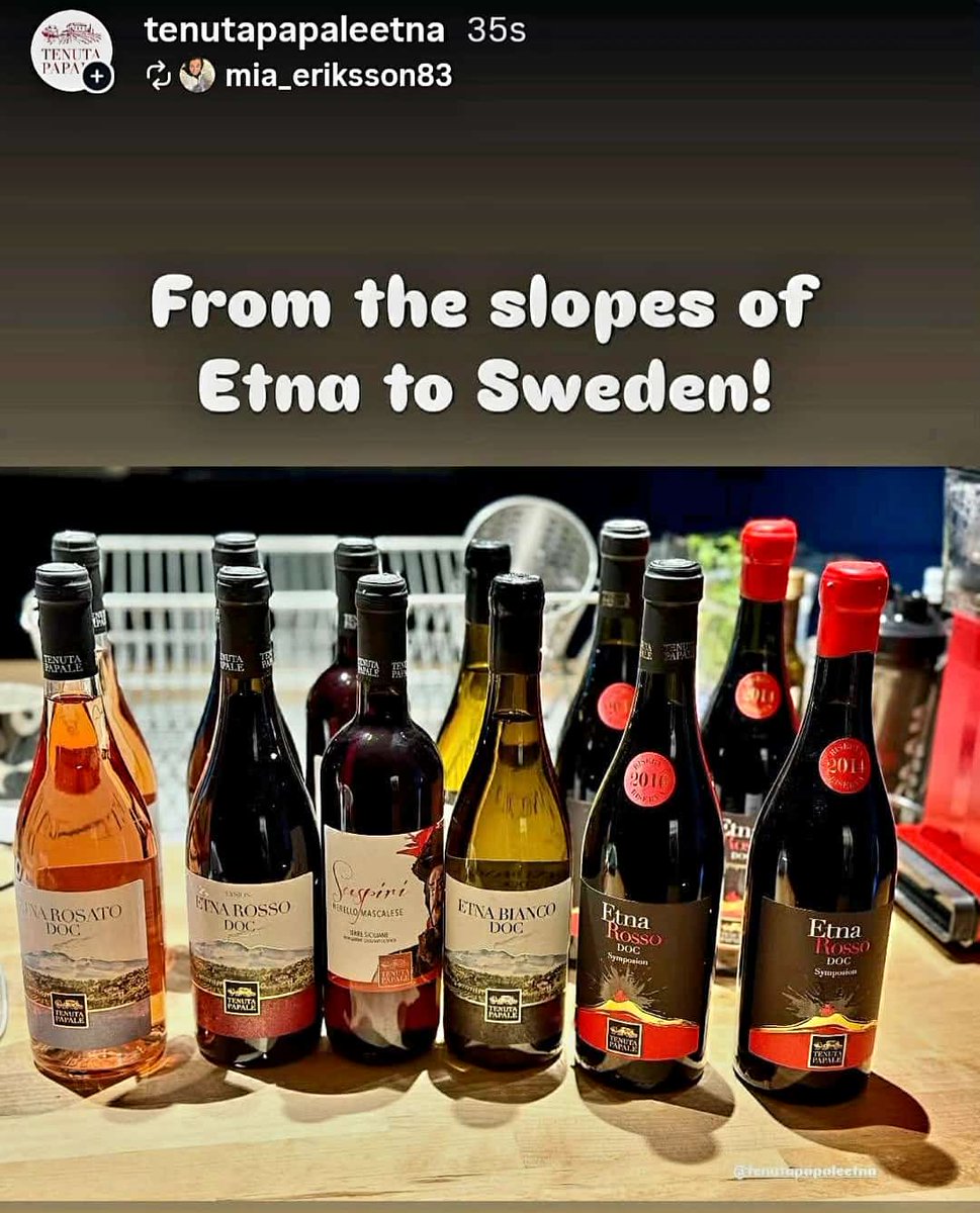 🍷🫒 tenutapapale.com 🫒🍷
#tenutapapale #winery #winetastings #etna #wine #etnawine #wines #winesofinstagram #winelovers #winetasting #wineoftheday #belpasso #catania #sicily #sicilia #vino #rosso #rossoetna #redetna #etnared #italianwine #goodwine #enoteca #vinosiciliano