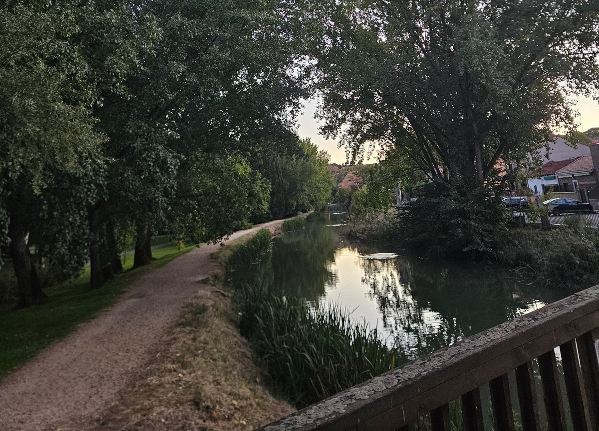 César Chacón Fernández tweet media