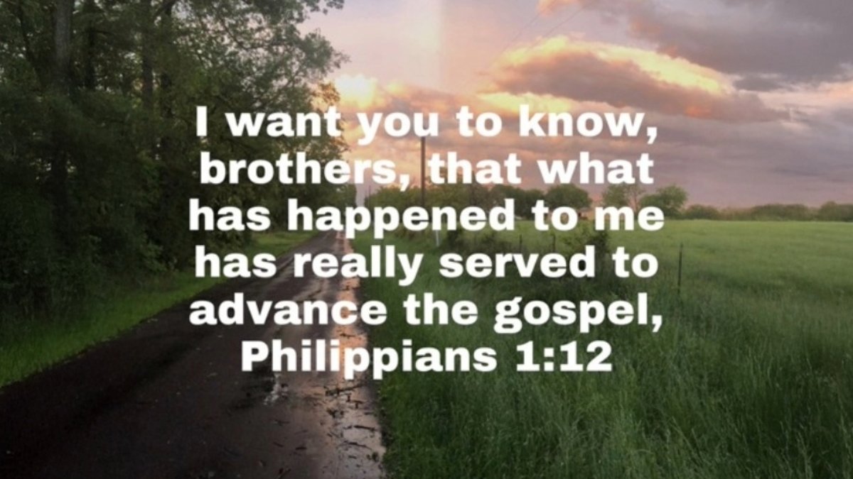 DarrellKoop's tweet image. 