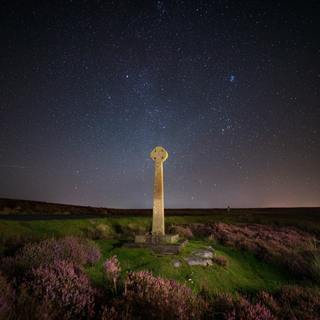 North Yorkshire tweet media