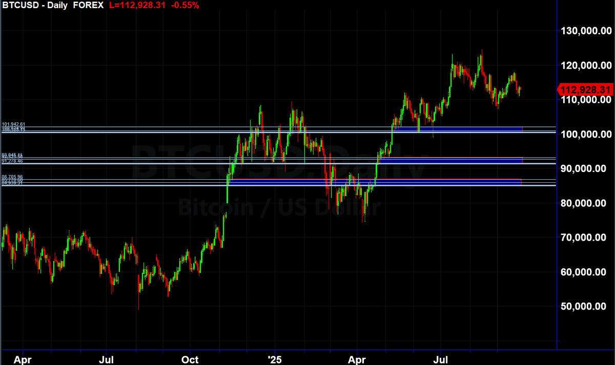 Bitcoin

This is 100% still on the table.

Lower highs, eventual lower lows.

Simple chart levels for Support are:
- $100 - $102k
- $91 - $93.5k
- $85 - $87k

$BTC