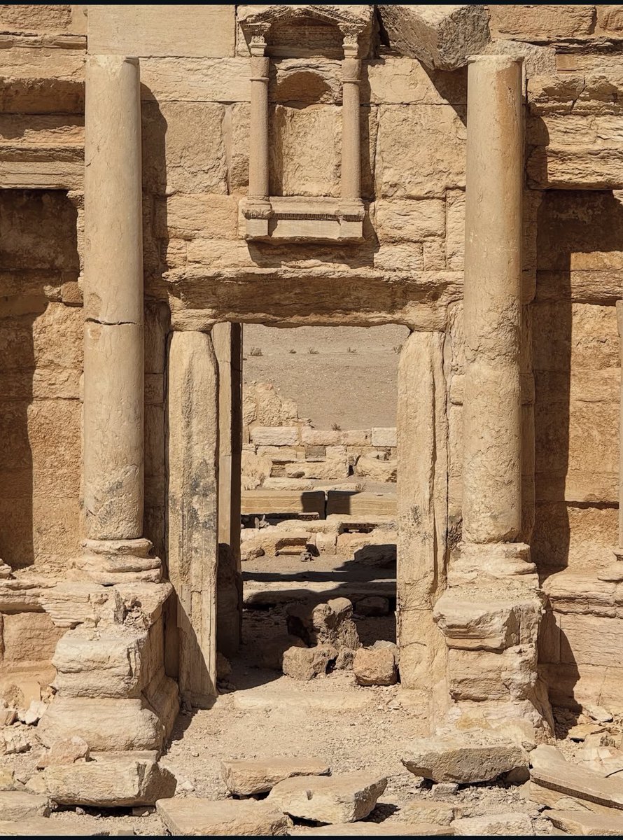 Palmyra pinterest tweet media