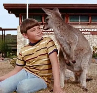 Jarlar2212 tweet media