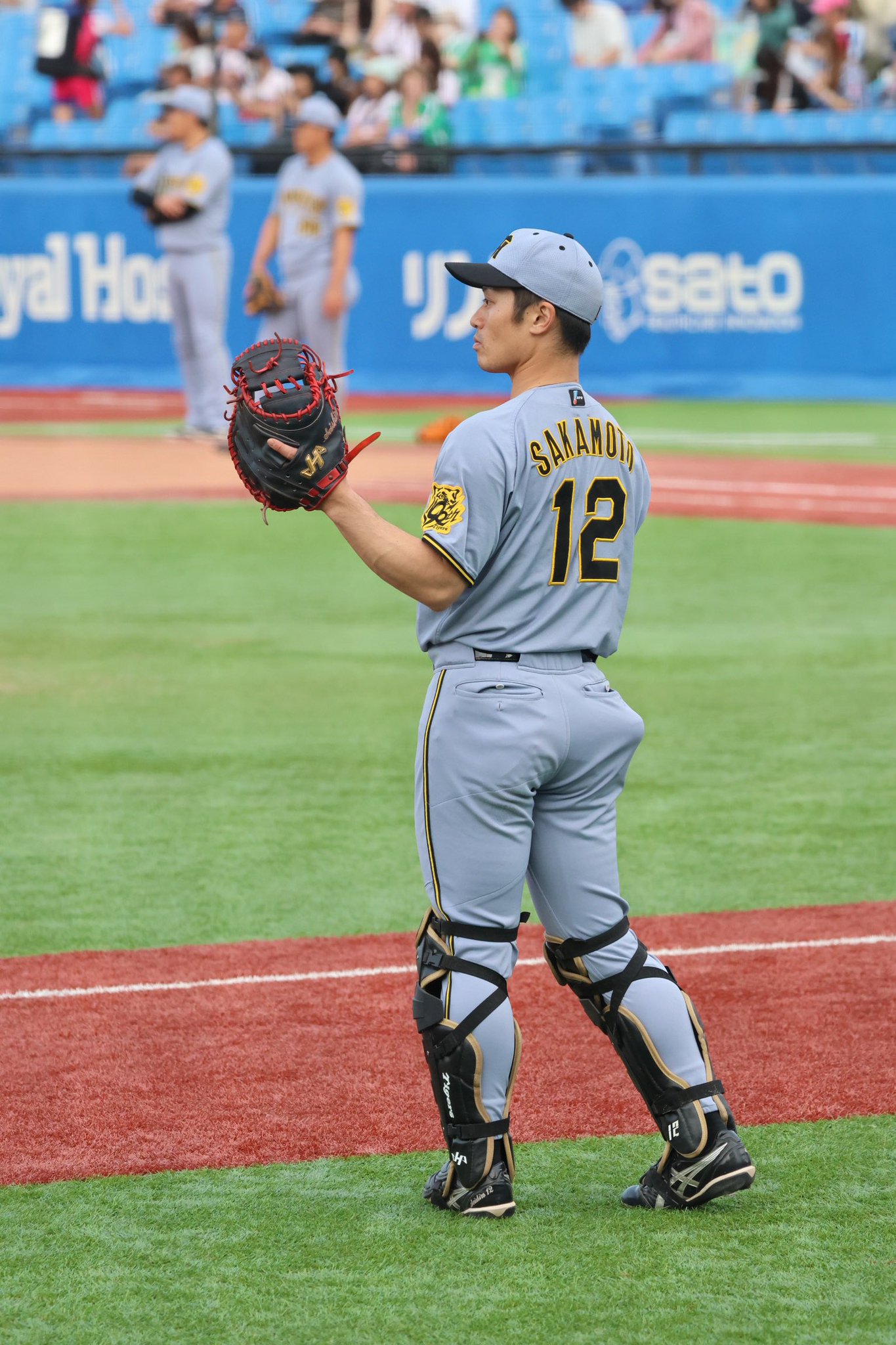 野球場大事典 同志社スポーツアトム編集局 on X: 